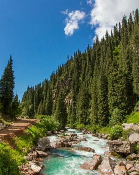 Туры, туры на джипах, экстрим туры, джип туры, туры по Кыргызстану, туры по Иссык Кулю, туры на Иссык Куле, туры в горы Кыргызстан,туры в горы Иссык Куль, туры в горы Каракол, Туры по Тянь-Шаню, экскурсии, экскурсии на Иссык Куле, экскурсии в Чолпон Ате,экскурсии в Караколе, экскурсии в Кыргызстане,экскурсионные поездки на Иссык Куле, Чолпон Ата экскурсии,  организация отдыха на иссык куле, организация отдыха в чоплон ате, организация отдыха в кырыгзстане, организация отдыха в горах кыргызстан, организация экскурсий на иссык куле,  организация экскурсий в чолпон ате, организация экскурсий в караколе