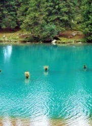 Туры, туры на джипах, экстрим туры, джип туры, туры по Кыргызстану, туры по Иссык Кулю, туры на Иссык Куле, туры в горы Кыргызстан,туры в горы Иссык Куль,  туры в горы Каракол, Туры по Тянь-Шаню, экскурсии, экскурсии на Иссык Куле, экскурсии в Чолпон Ате,экскурсии в Караколе, экскурсии в Кыргызстане,экскурсионные  поездки на Иссык Куле, Чолпон Ата экскурсии,  организация отдыха на иссык куле, организация отдыха в чоплон ате, организация отдыха в кырыгзстане,  организация отдыха в горах кыргызстан, организация экскурсий на иссык куле,  организация экскурсий в чолпон ате, организация экскурсий в караколе